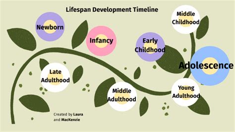 😍 Lifespan Development Late Adulthood Relationships In Late Adulthood 2022 11 06