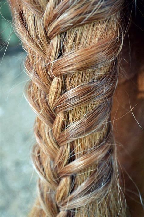 In fact, many women are envious of what. 30 Amazing Horse Tail Braids Ideas to make Your Friends ...
