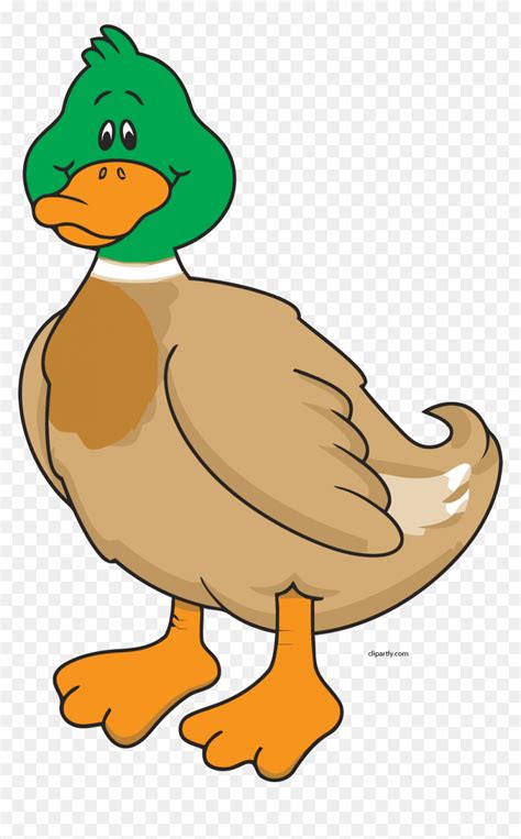 Farm Animals Clipart Duck Hd Png Download Vhv