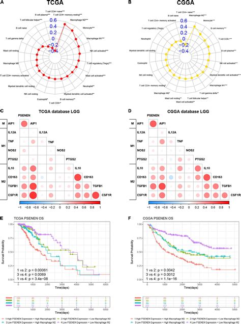 Frontiers Immunological And Prognostic Analysis Of Psenen In Low