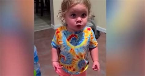 Toddler Argues With Mom And Dad When Caught Playing With Dog Food