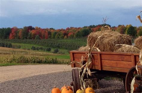 Our Orchard Autumn Harvest Wisconsin Wineries Winery Fall Harvest