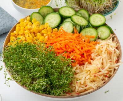 Alfalfa Sprouts Salad Wellnessdove