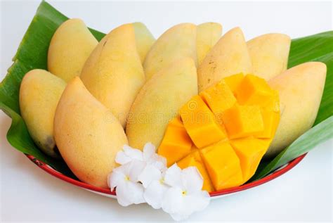 Yellow Mango Fruit Stock Image Image Of Exotic Delicious 41047263