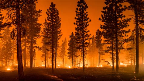 How Long Can Wildfires Burn