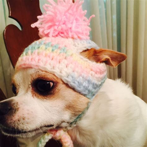 This Item Is Unavailable Etsy Crochet Dog Clothes Dog Hat Crochet