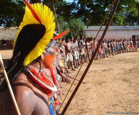 Indigenous Spokesman Dismissed From Brazilian Government Survival International