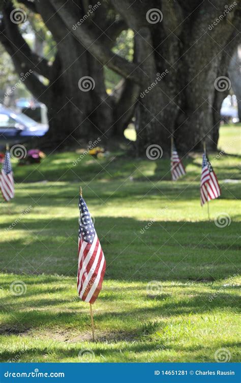 Flowers And Flags Stock Image Image Of Holiness Guardian 14651281