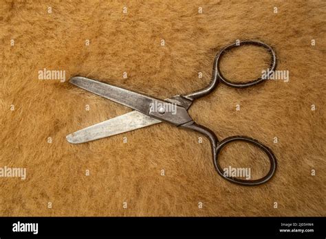 Vintage Scissor On Wool Texture Stock Photo Alamy