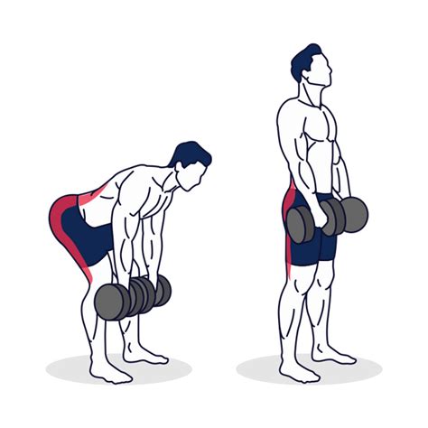 How To Do Dumbbell Stiff Leg Deadlift With Proper Form Simply Fitness