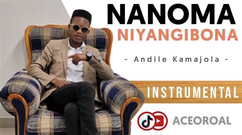 Nanoma Niyangibona Instrumental Covered By Aceoroal Youtube