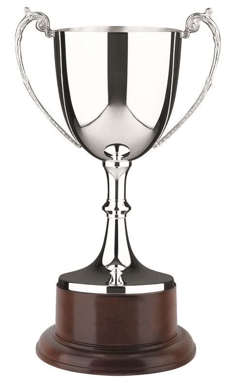 Hallmarked Silver Ultimate Cup Silvertrophy