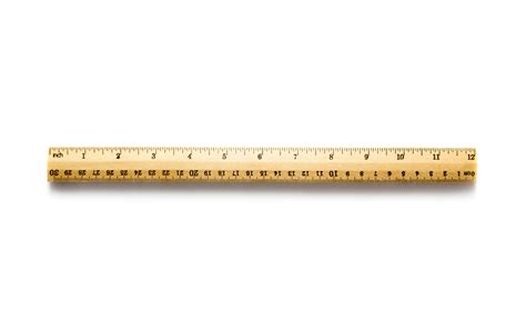 12 Inch Ruler Hungry Generation