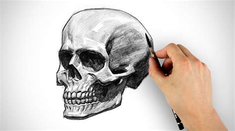 Https://tommynaija.com/draw/how To Draw A Skeleton Head