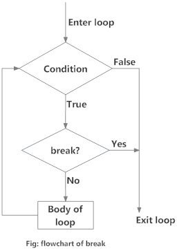 Управление циклом break. Break в цикле for. Continue в питоне. Break в питоне. Цикл Break Python.