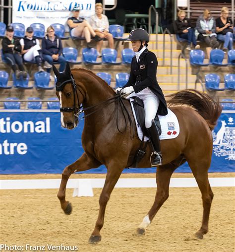 Unlock your true potential as a dressage athlete. Dressage Riders Prove Very Competitive in Australia | ESNZ