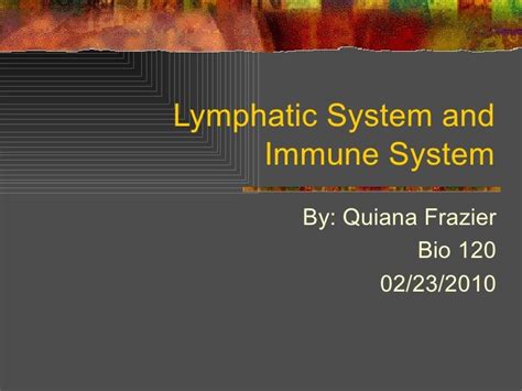 Presentation 6 Lymphatic System And Immune System