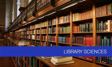 Top Library Science Programs In The Us 2020 2021