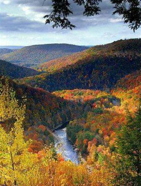Worlds End State Park In Pennsylvania Fall Beauty State Parks