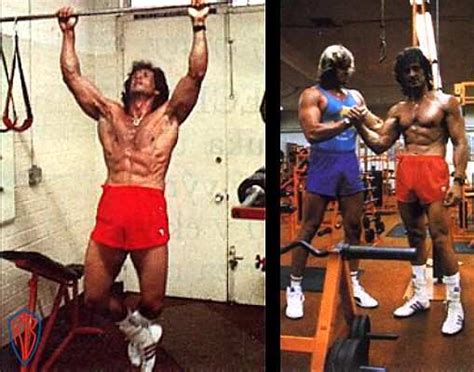 Between rounds i would get lightheaded and quite exhausted. Sylvester Stallone | Sallone's workout | Stallone's diet ...