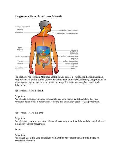 Dapat mengucap syukur atas ciptaan tuhan yang maha esa yang beraneka ragam 1.1.2. Rangkuman sistem pencernaan manusia