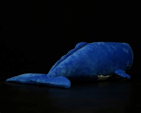 165 North Pacific Right Whale Plush Toy Whale Stuffed Etsy