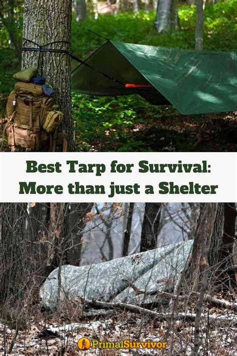 Best Survival Tarp For Emergency Shelter And Bushcraft Uses