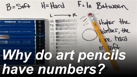 Why Do Drawing Pencils Have Numbers — Pencil Hardness Explained