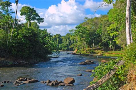 It has a north atlantic ocean coastline in the north and is surrounded by french guiana to the east, brazil to the south and guyana to the west. Suriname - Tourist Destinations
