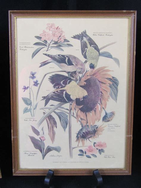 Vintage 195657 Lot Of 6 Arthur Singer Bird And Botanical Prints Signed
