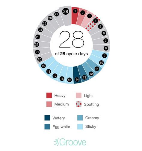 Menstrual Cycle Discharge After Ovulation If Pregnant Cervical Mucus