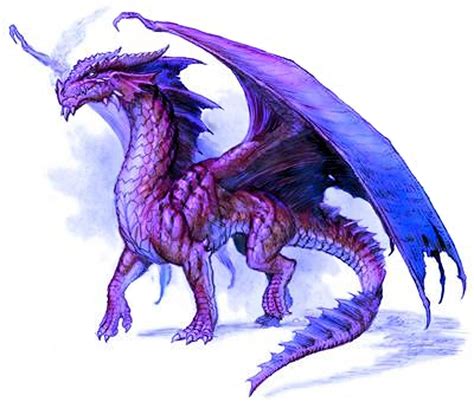 Learning how to draw a dragon can be tricky. Computer graphic/drawing of a purple dragon | Dragon ...