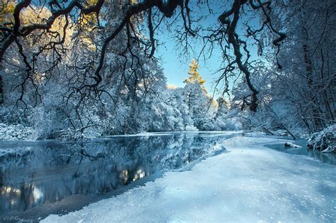 🇮🇪 Winter Wonderland Ireland By Marius Kastečkas On 500px ️ Winter