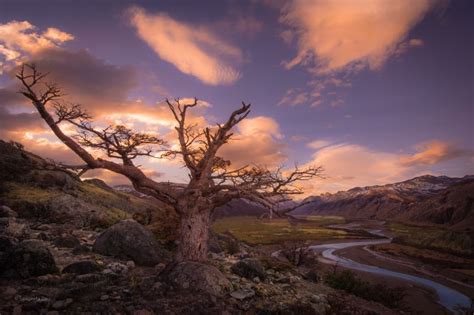 Project launch grant honorable mention: Interview with Sangeeta Dey, Award-Winning Landscape ...