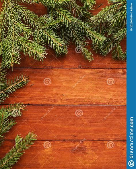 Christmas Pine Tree Background Stock Photo Image Of Space Branch