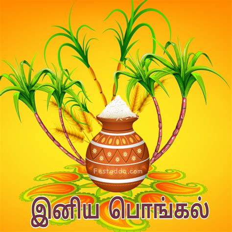 Free online translation from french, russian, spanish, german, italian and a number of other languages into english and back, dictionary with transcription, pronunciation, and examples of usage. Happy Pongal In the Tamil Language | Happy pongal wishes