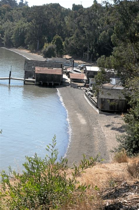 Hike Of The Week China Camp Trail Offers Summer Adventure Marin