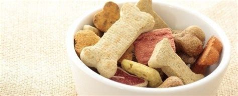 Some of the recipes below have treats that contain far fewer than this. Dog Treats and Dog Treat Recipes Even though your dog may ...