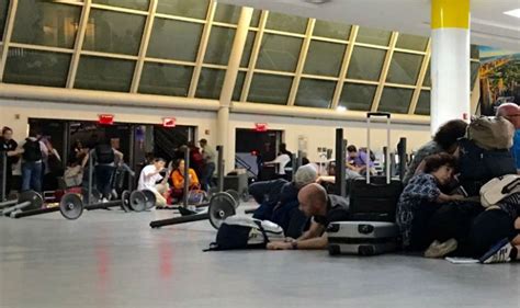 Panic Grips Jfk Airport As Reports Of Shots Prompt Evacuation