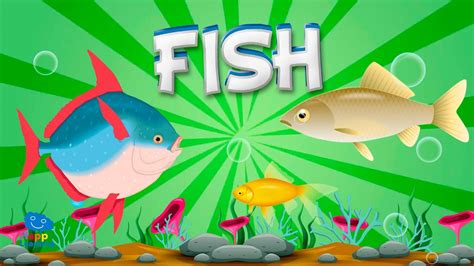 Fish Educational Video For Kids Youtube