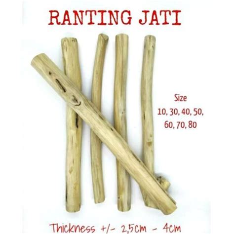 As is kayu in english? Ranting Jati | Kayu Jati 20cm-25cm (RANDOM) | Shopee Indonesia