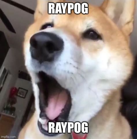 Raydoggers Imgflip