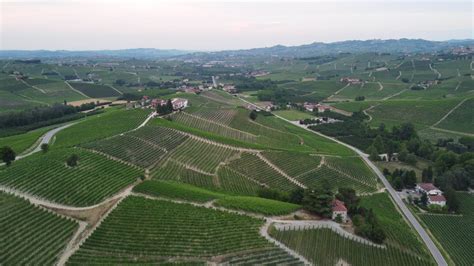 Vineyard Aerial View In Langhe Piedmont Italy 15282268 Stock Video At