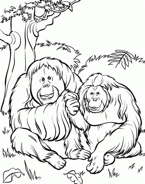 Two dogs eat popcorn watching a great movie. Free Printable Zoo Coloring Pages For Kids