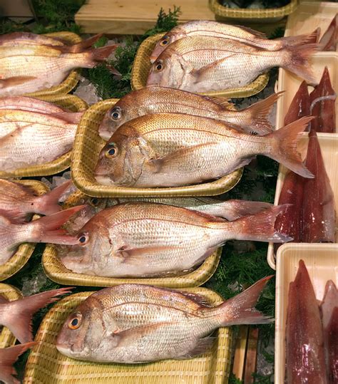 Sushi And Sashimi Guide Types Fish Veggies 2021