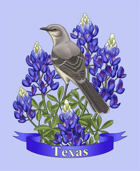 Texas State Mockingbird And Bluebonnet Flower Painting By