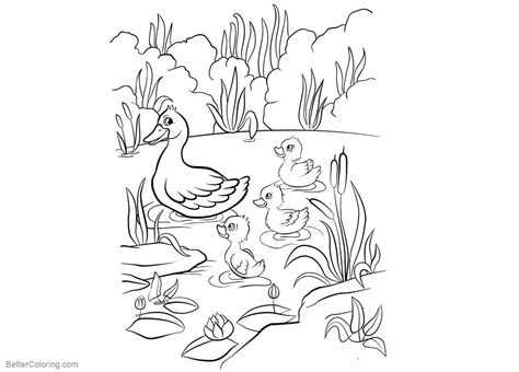 Pond Coloring Pages Printable