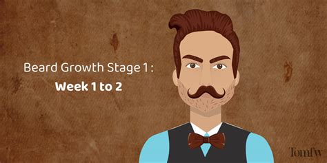 Beard Growth Stages And Beard Stages Chart By Days And Week 2022