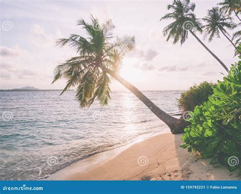 Sunset Dramatic Sky On Sea Tropical Desert Beach No People Stormy