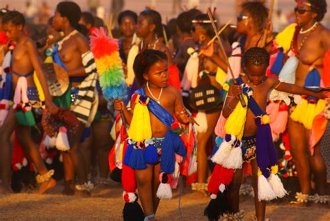 Photo Libre De Droit De Danse Des Roseaux Célébration Au Swaziland